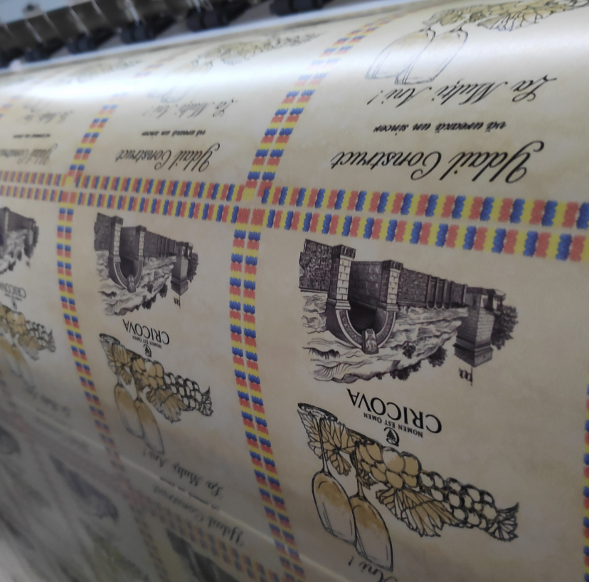 3.2. - poza 3 - Print ecoSolvent